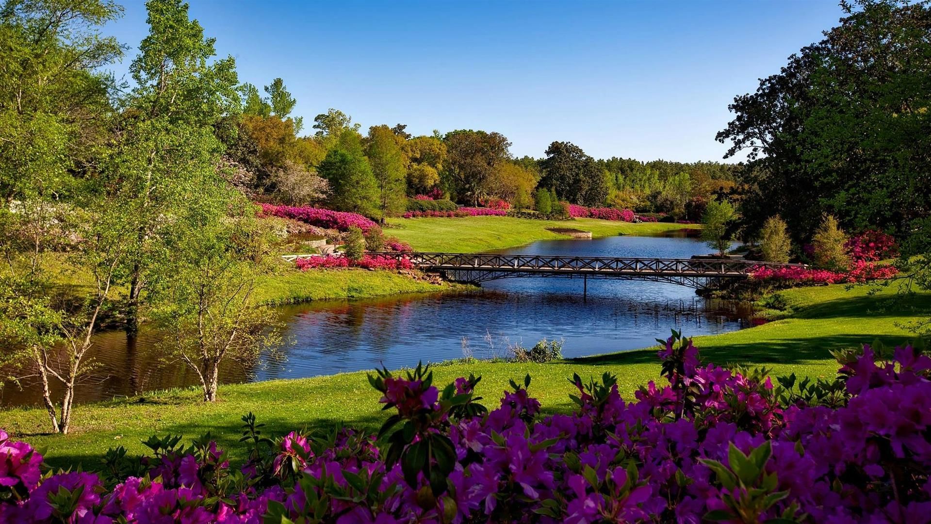 รูปสถานที่จัดงาน