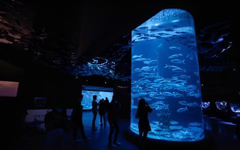 Jakarta Aquarium Safari