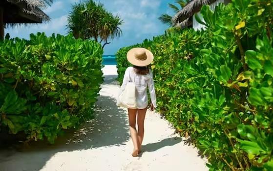 2X Point Packages 图像