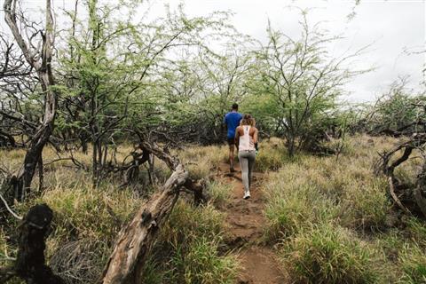 Reserva arqueológica de petroglifos de Puako