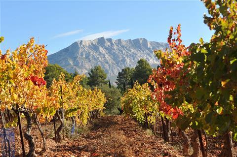 Dégustation de vins dans les vignobles des environs