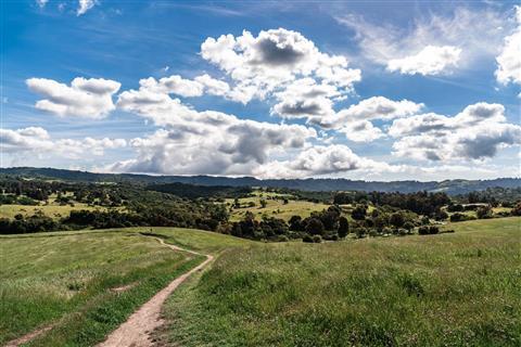 Pearson-Arastradero Preserve