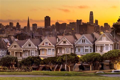 Painted Ladies
