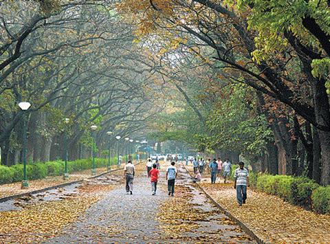Cubbon Park