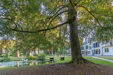 Teambuilding Activities