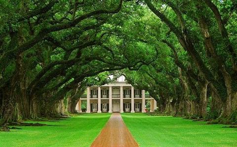 Plantación Oak Alley