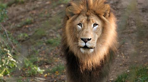 Columbus Zoo and Aquarium