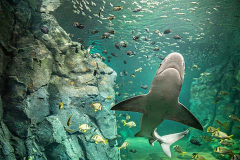 St. Louis Aquarium at Union Station