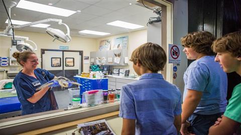 Centro de tortugas marinas de Georgia