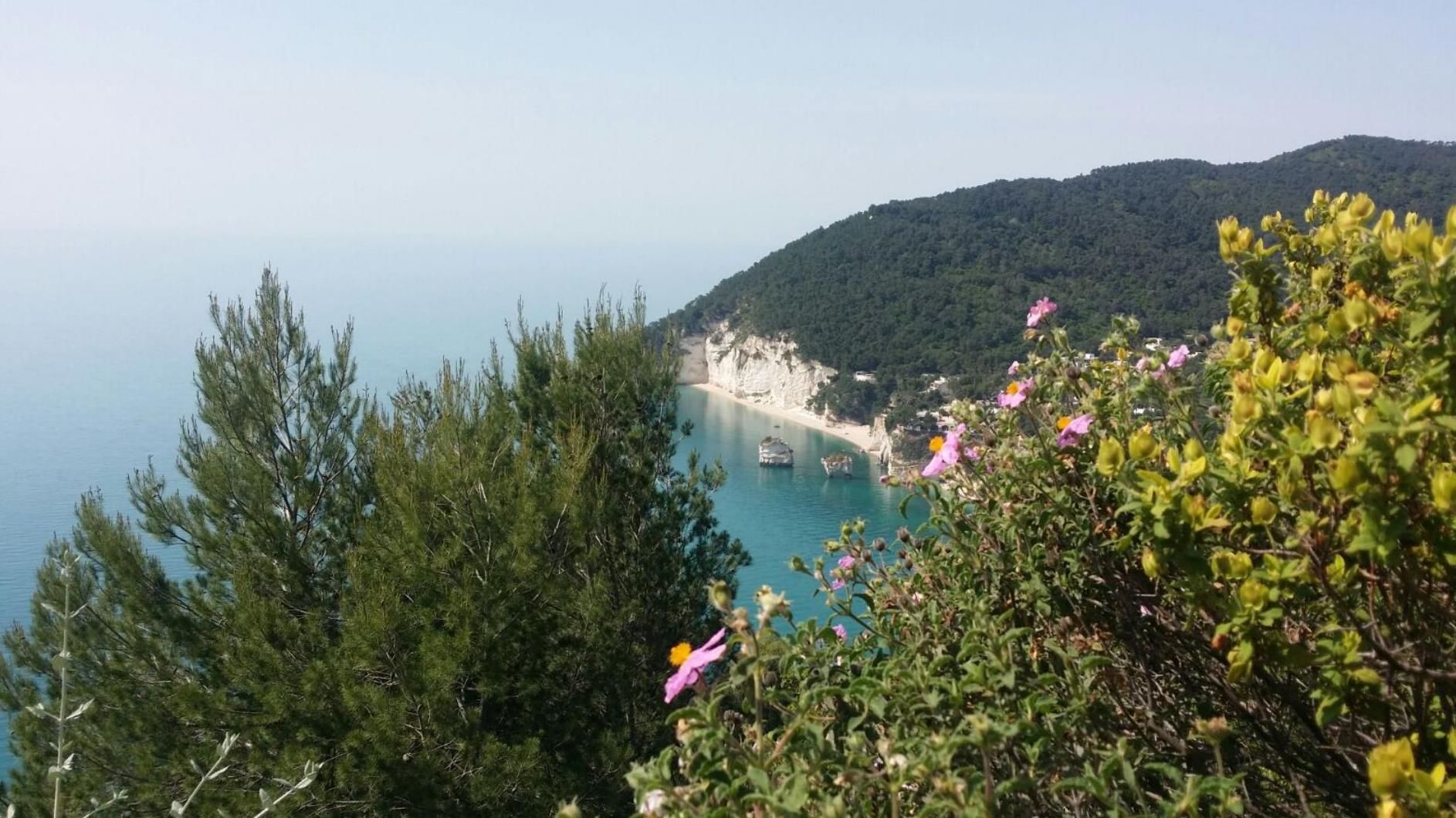 Bild på anläggning