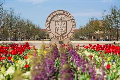 Texas Tech University