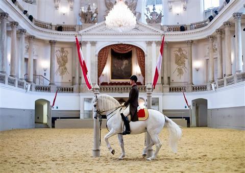 Spanish Riding School