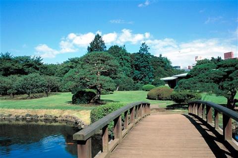 Shinjuku Gyoen National Garden, Tamamo-Ike (Tamamo Pond)