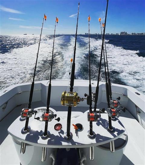 Taco's Hooked Up Sportfishing