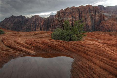 Snow Canyon State Park