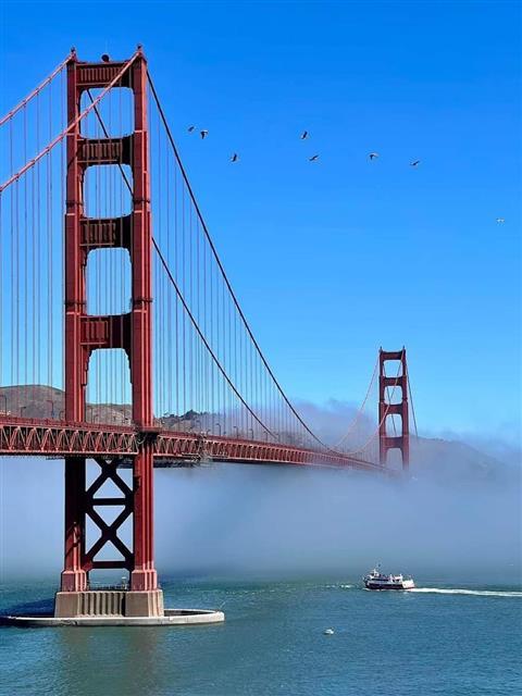 Mirador del puente Golden Gate