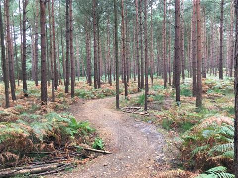 The Look Out Discovery Centre
