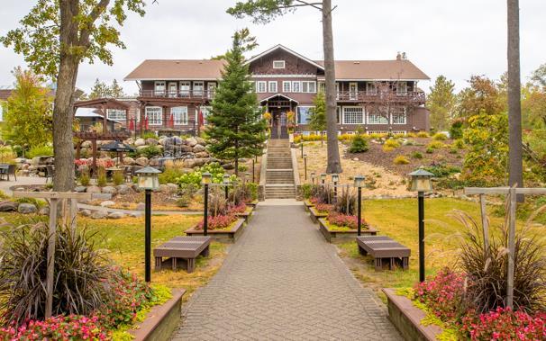 Immagine Fall into Focus