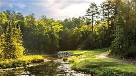 The Pines Golf Course