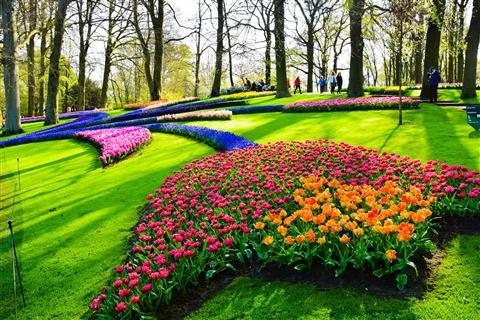 Keukenhof