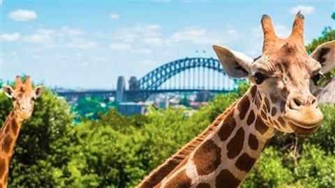 Taronga Zoo