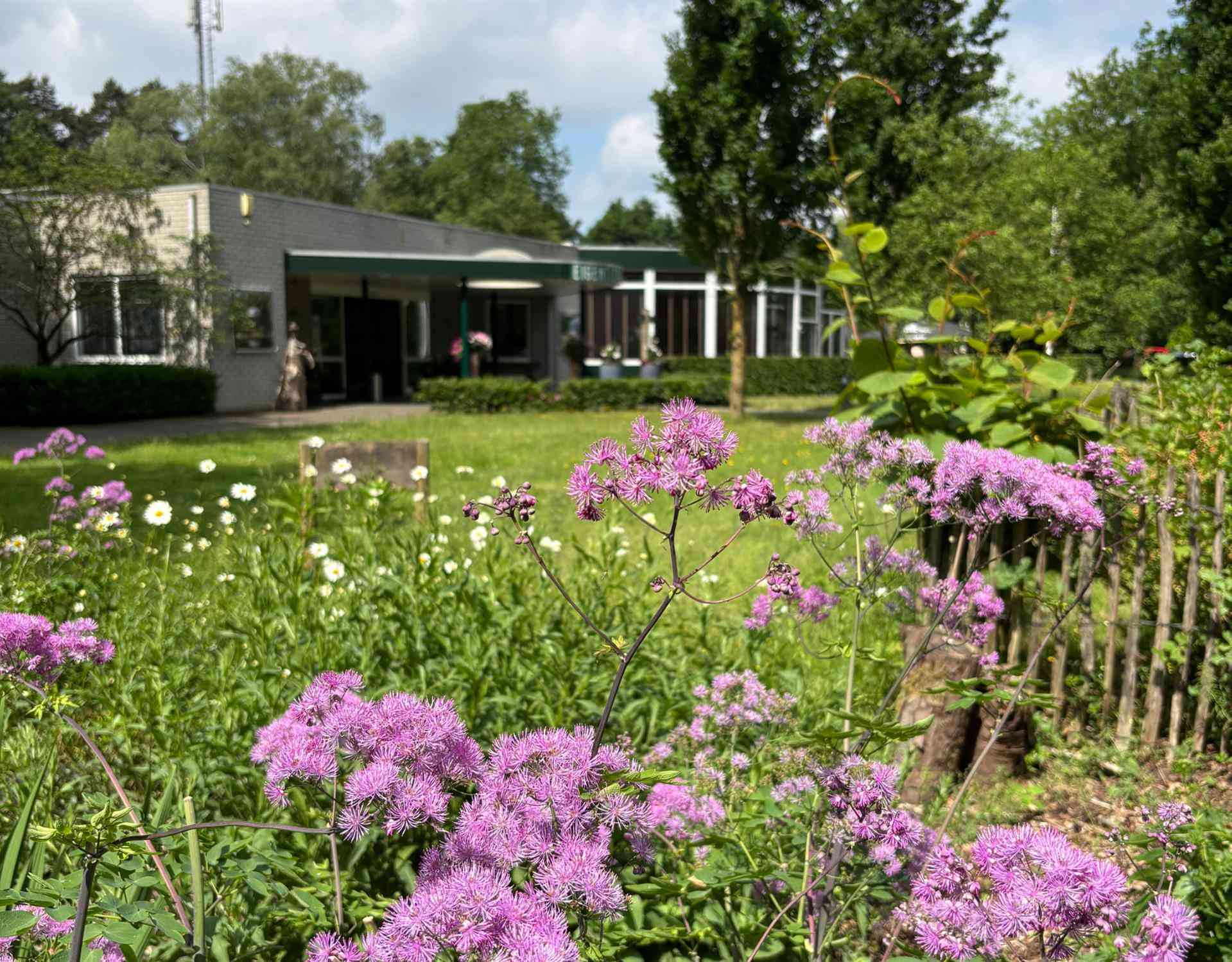 Eigentijdserf a Oirschot, NL