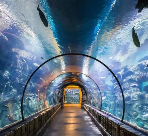 The Dallas World Aquarium