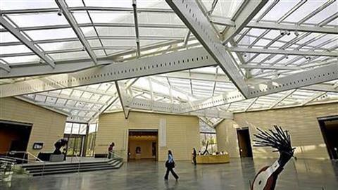 Museo de Arte Nasher