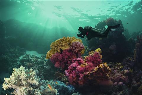 Puerto Morelos Reef National Park