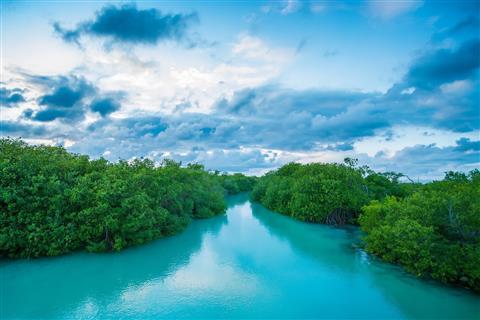 Sian Ka'an Biosphere Reserve