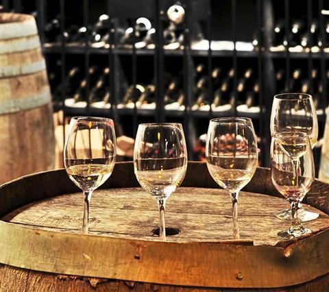 Catas y visitas vinícolas