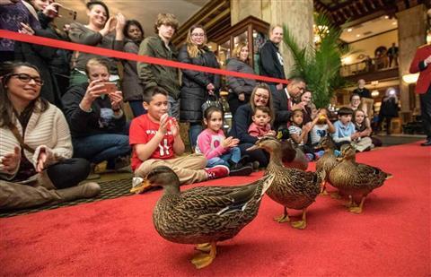 World Famous Duck March