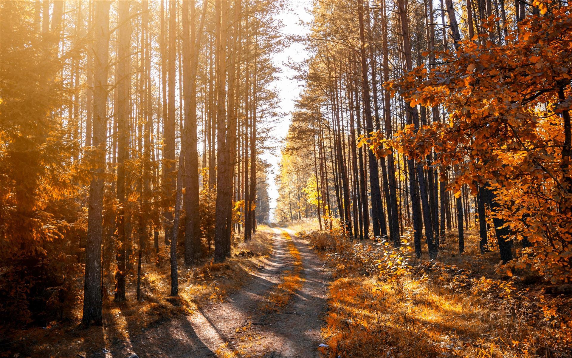 DoubleTree by Hilton Hotel Denver - Westminster Welcome Associations - A Fall Celebration