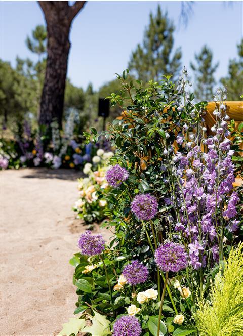 Independente Comporta i Grandola, PT