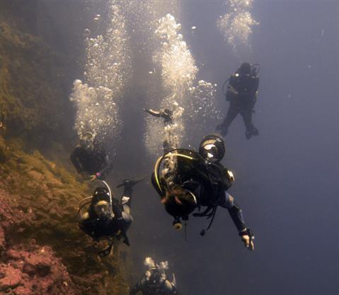 Diving / Snorkeling