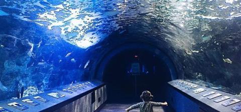 Newport Aquarium