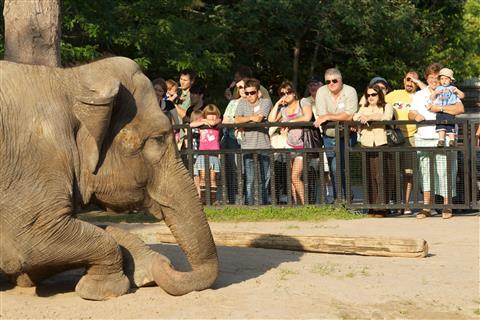 Rosamond Gifford Zoo at Burnet Park