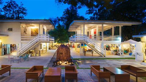 เดอะซิเคด้า มาร์เก็ต