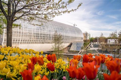 Infinidad de jardines botánicos
