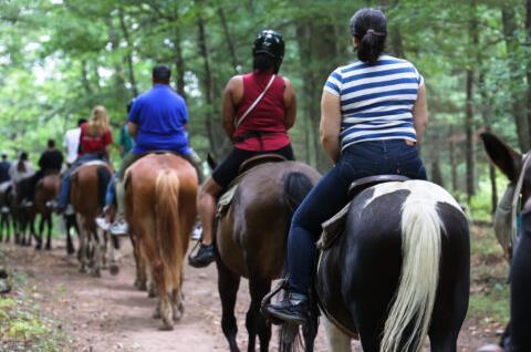Mountain Creek Riding Stable