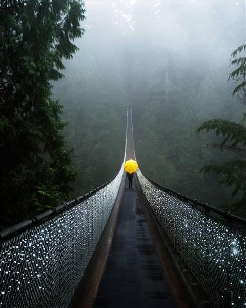 Capilano Suspension Bridge