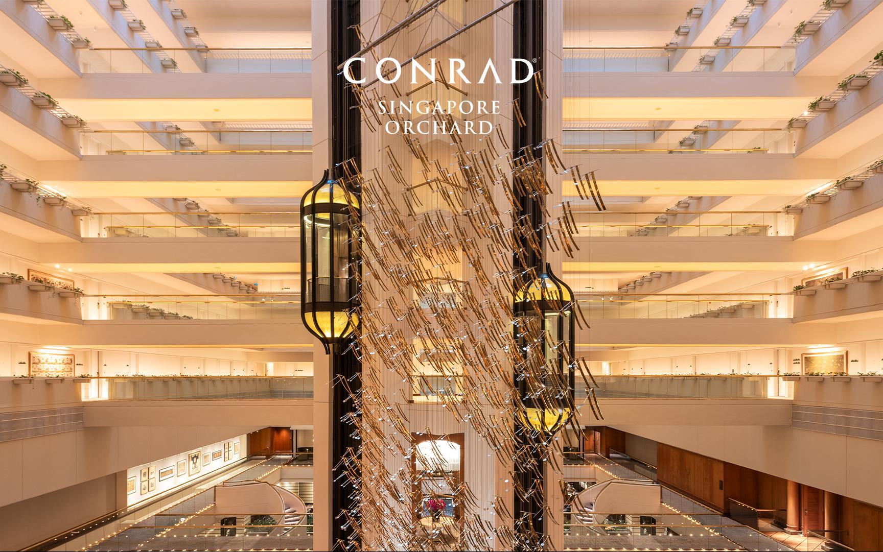 Изображение Chinese New Year Lunch or Dinner 2026