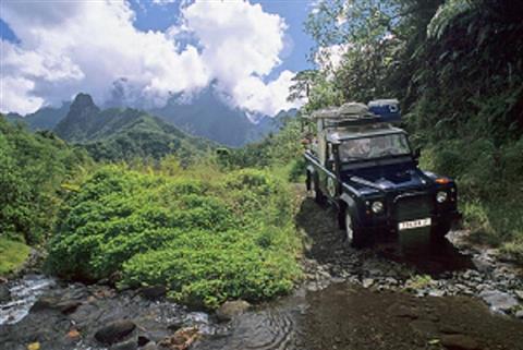 Geländewagen Safari