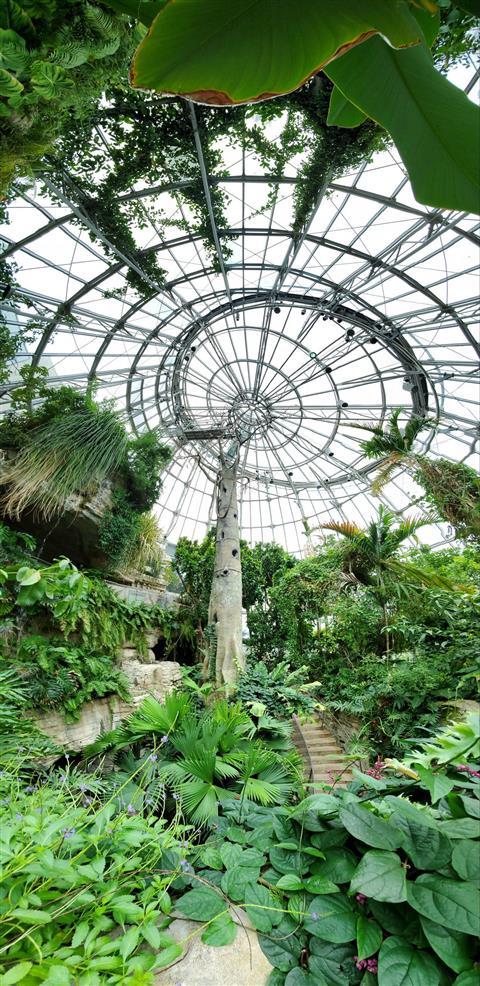 Cockrell Butterfly Center