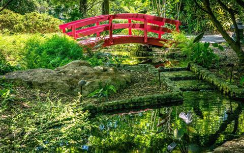 Miami Beach Botanical Gardens