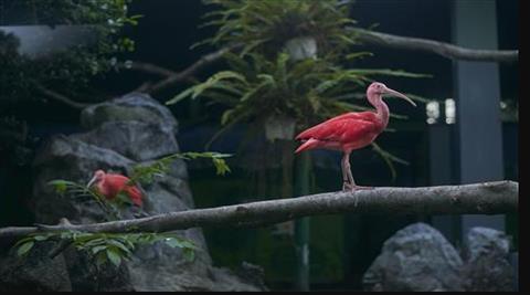 The Saigon Zoo and Botanical Garden