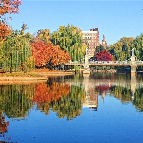 Boston Common & Public Garden