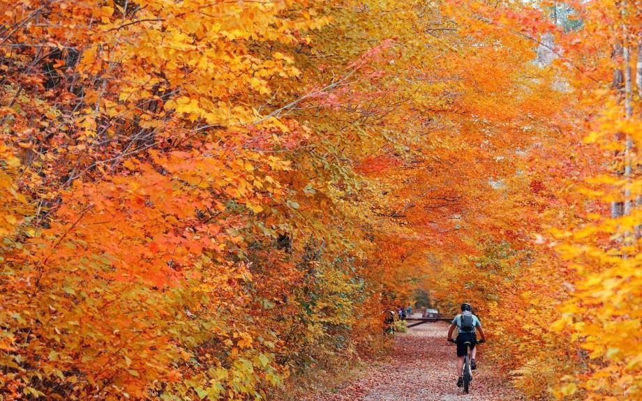 Изображение Cozy Gatherings Await