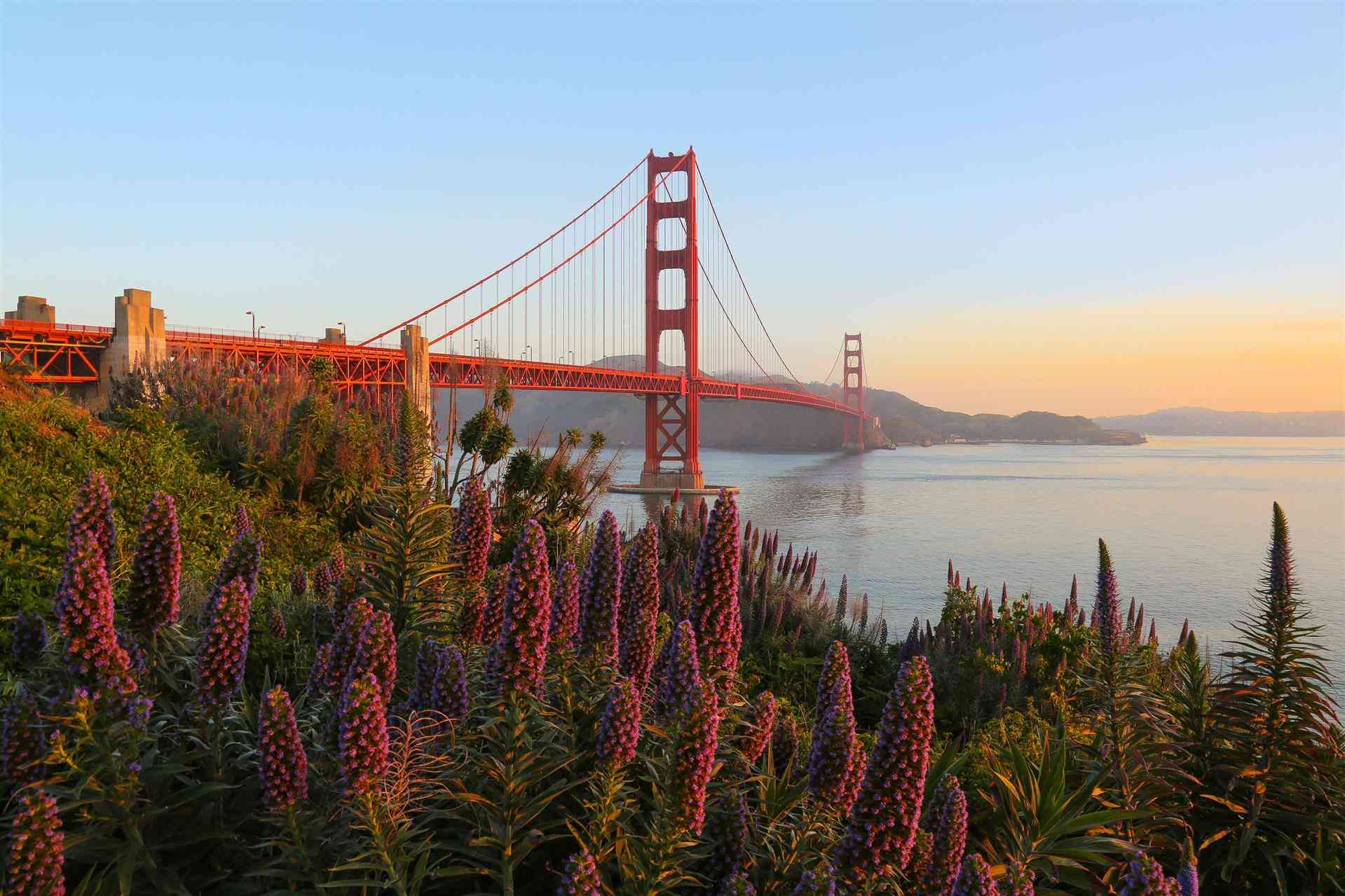 San Francisco Travel Association in San Francisco, CA