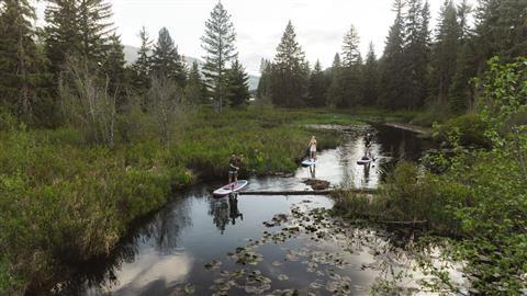 River of Golden Dreams